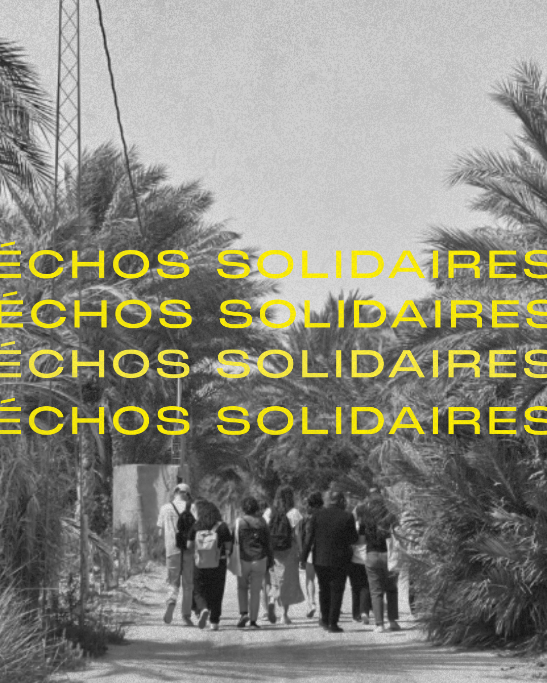 événement echos solidaires